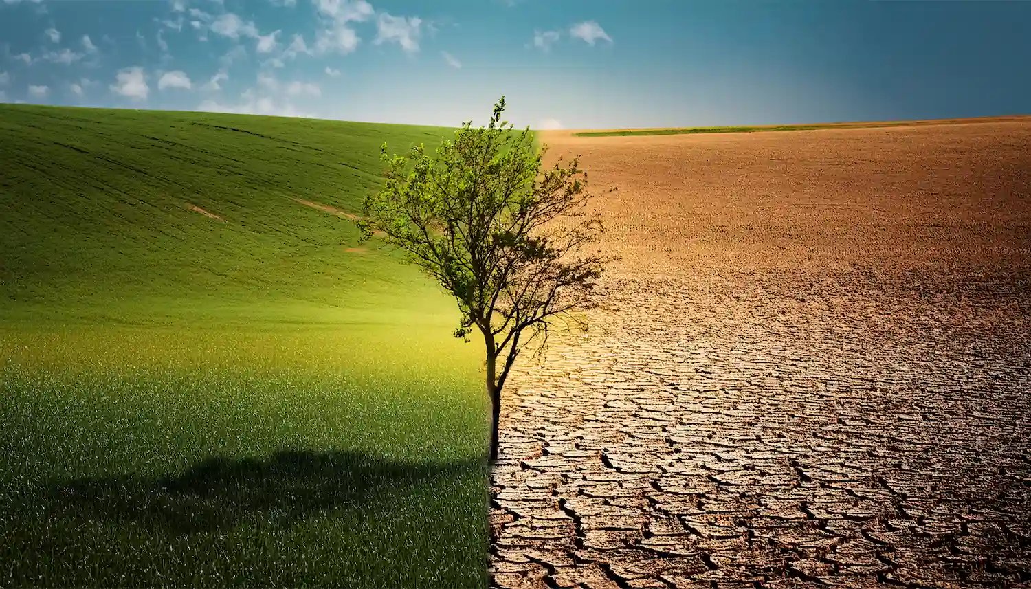 Variations climatiques