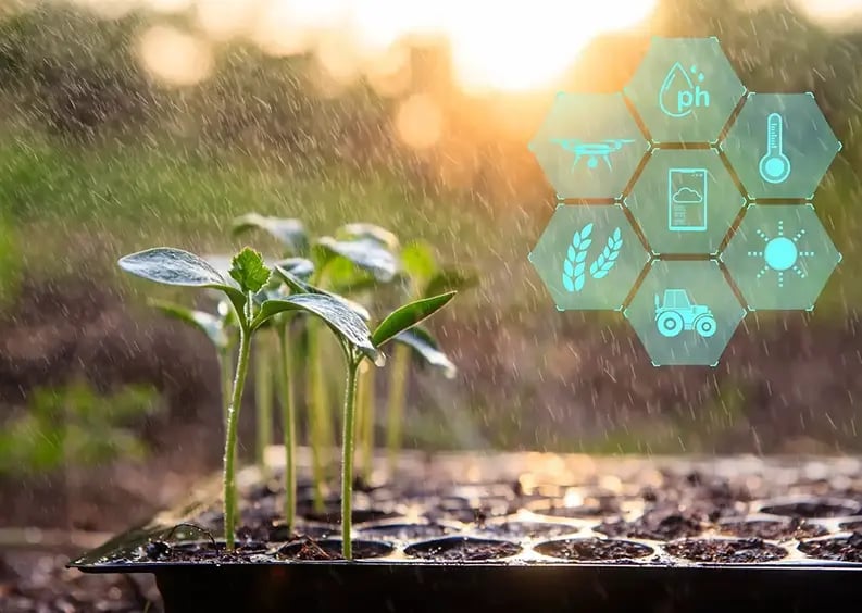 Fonctionnalités des capteurs IoT