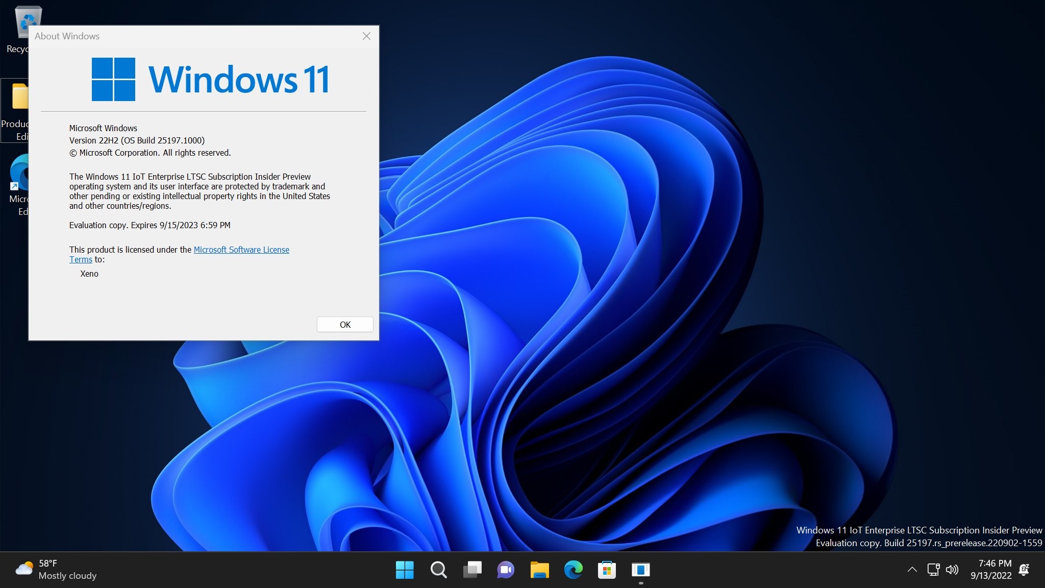 Windows 11 IoT Enterprise ltsc - Factory Systemes